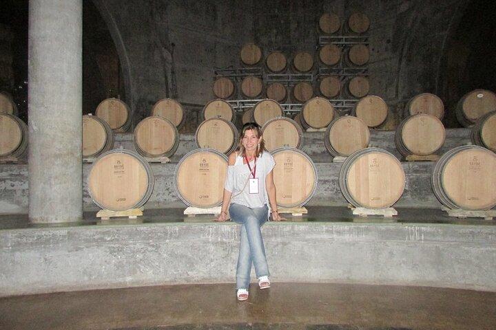Mendoza Wine Route A Full Day Private Excursion