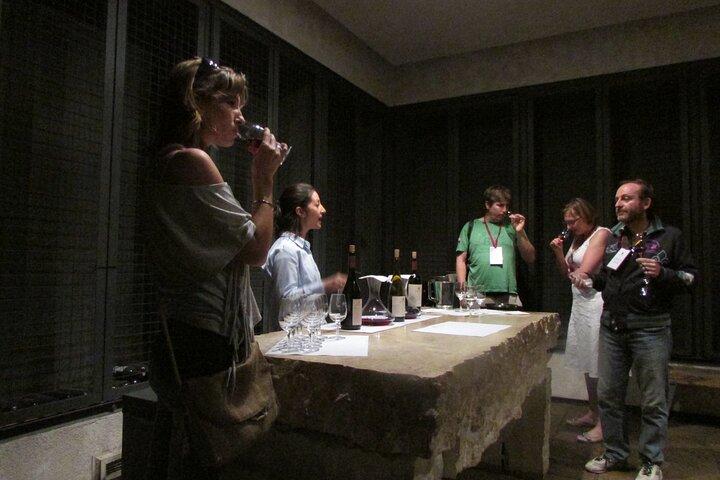 Mendoza Wine Route A Full Day Private Excursion