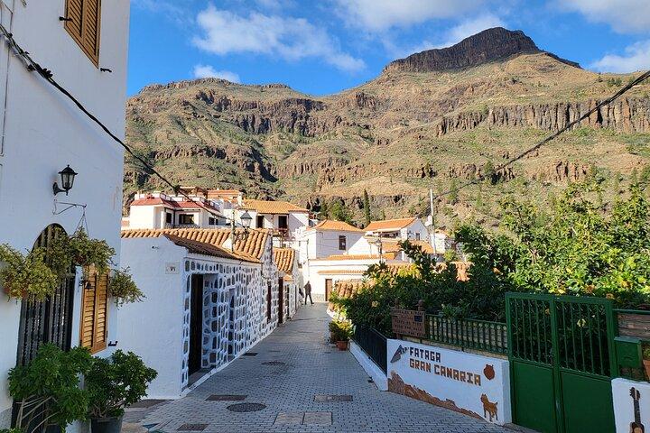 Private Excursion The mountains of Gran Canaria for 2 to 4 people