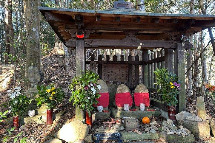 3 Day Kumano Kodo Pilgrimage Route Walking Tour from Osaka