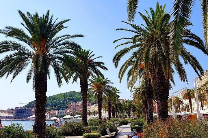 Private luxury tour or transfer to Split