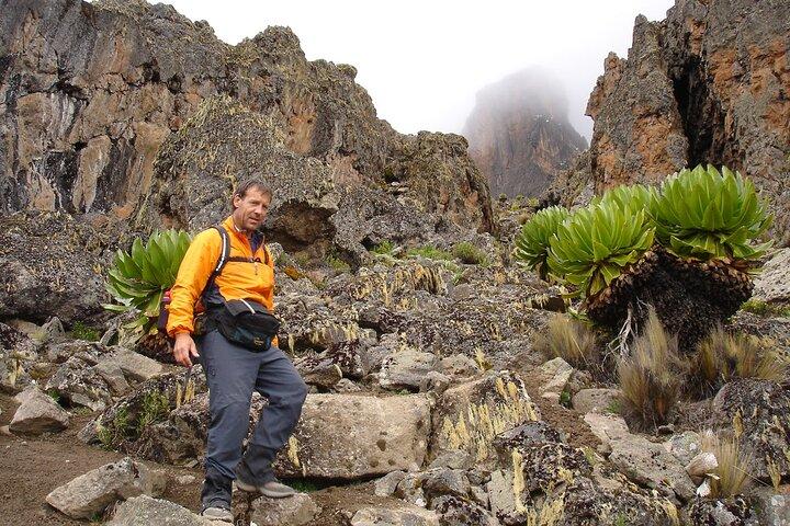 5 Days Mount Kenya Trekking Through Sirimon in Chogoria Route