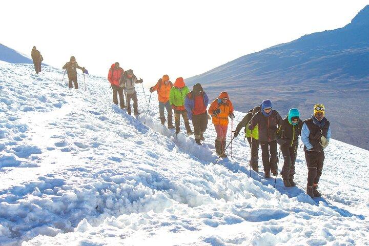 1 Day Mount Kenya National Park Hike Through Narumoro Route
