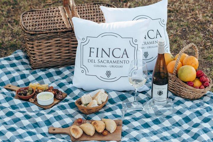Wine Tour to Colonia Del Sacramento in Finca del Sacramento