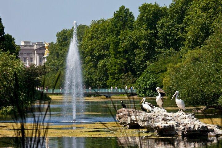 Inside Buckingham Palace State Rooms & Royal London Walking Tour