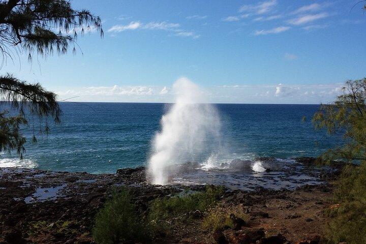 Small-Group Waimea Canyon Adventure Tour & Beyond with Lunch