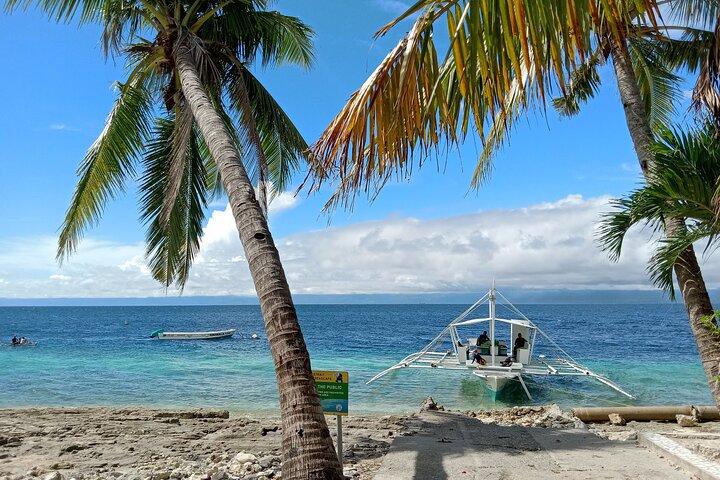 Moalboal Sardine Run, Sea Turtle and Mantayupan Falls