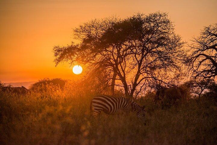 4-Day Tanzania Camping Safari Experience