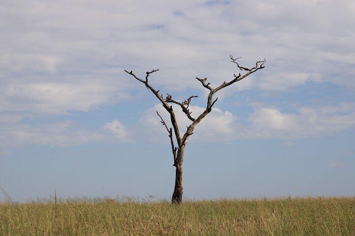 3 Day Safari in Serengeti National Park