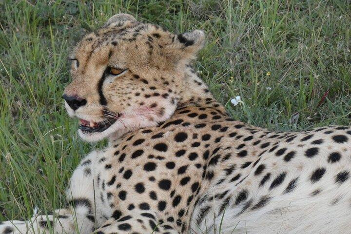 Romantic Mara Getaway with Jacuzzi