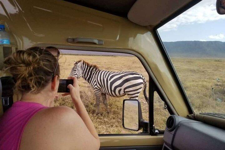 4 Days Tanzania Mid Range Lodge Safari