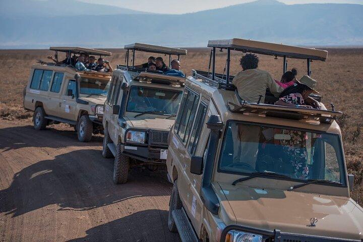 10-Day River Crossing Serengeti Wildebeest Migration Safari