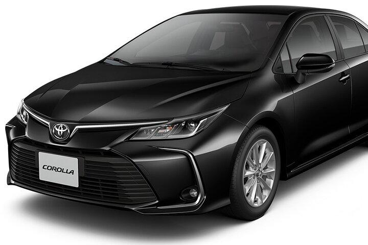 Private transfer from Atocha Station to Madrid city center