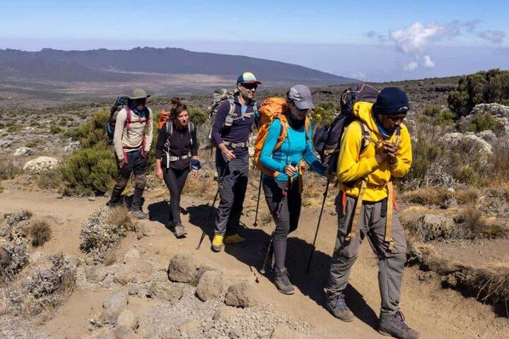 7 Day Rongai Route Kilimanjaro Climb