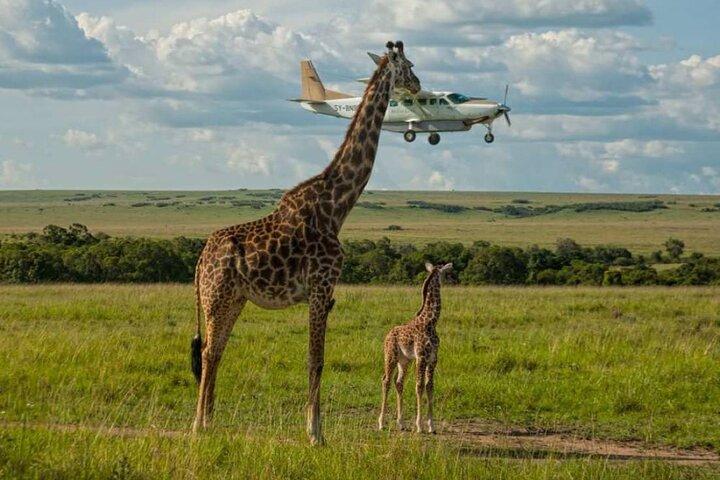 3 Days Maasai Mara Sarova Luxury Safari With a Jeep