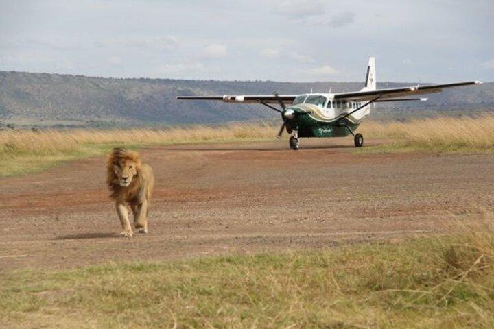 3 Days Maasai Mara Sarova Luxury Safari With a Jeep