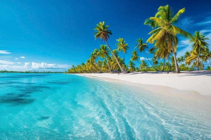 Catalina Island Day Trip from Punta Cana: Snorkeling included