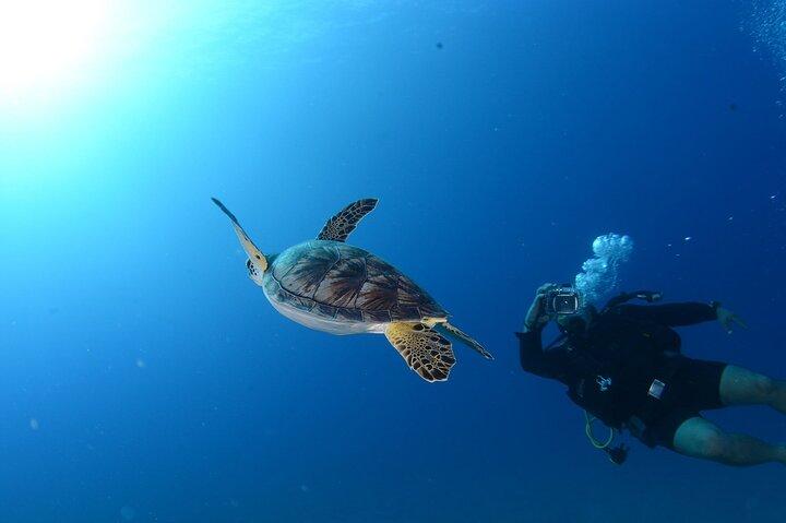 Antalya Scuba Diving Tour with 2 Dives, Lunch and Pickup