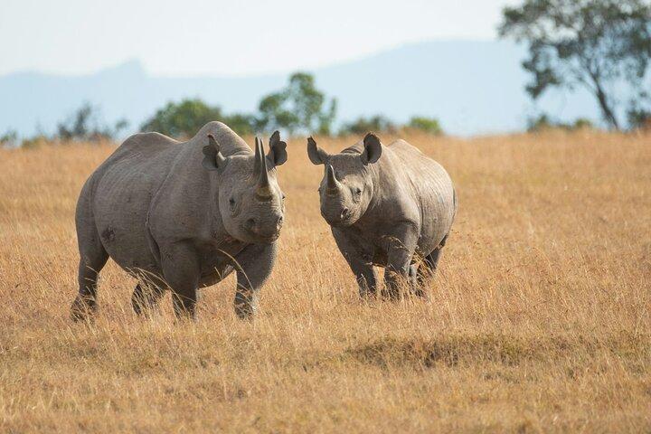Nairobi National park And Giraffe Center: Free Wi-Fi Connection
