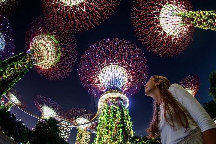 Singapore in Motion: Flyer, River and Garden