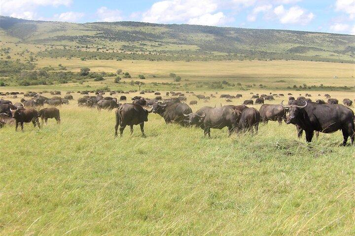 3 Day Exploring Amboseli National Park