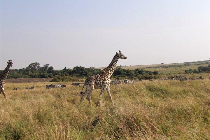 3 Day Exploring Amboseli National Park