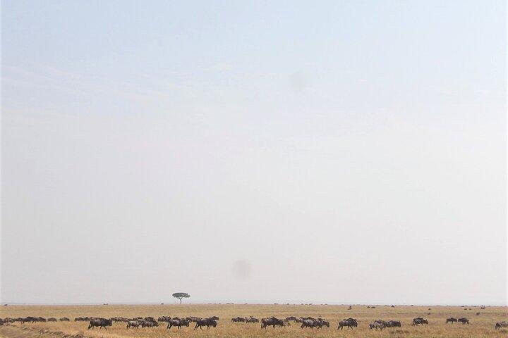 3 Day Exploring Amboseli National Park