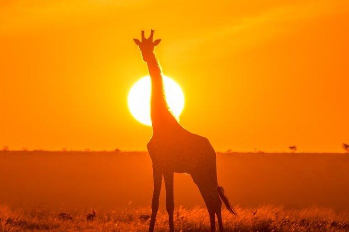 3 Day Exploring Amboseli National Park