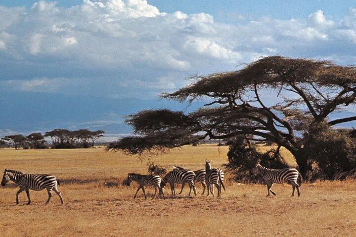 Amboseli National park group day tour from Nairobi