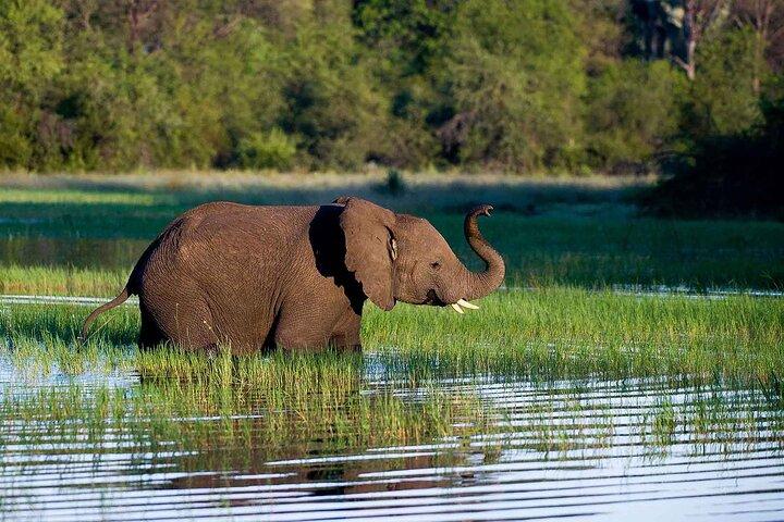 6 Days Kenya Medium Range Joining Safari
