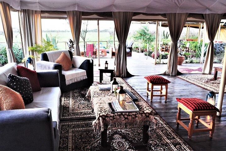 5 Days Kenya Safari and Uganda Gorilla Tracking Safari