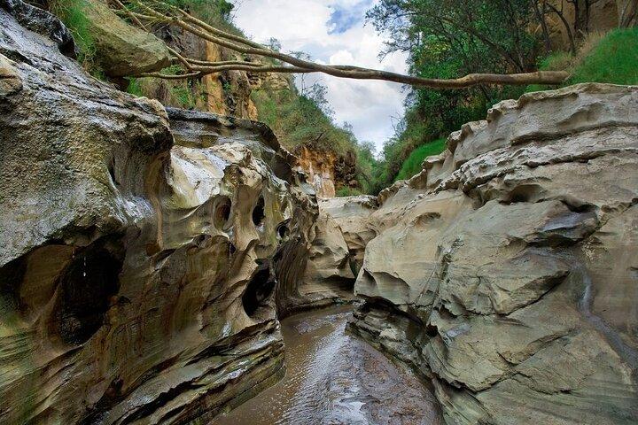Day Trip to Hell's Gate and Lake Naivasha