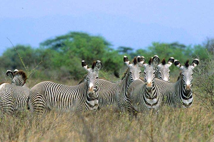 3-Day Meru National Park Private Guided Safari Tour