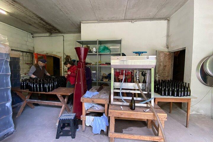 Taste and Tour Small Organic Wineries with a Winemaker