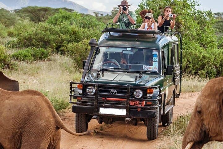 Nairobi's Wilderness for a 5 Day Tour Experience