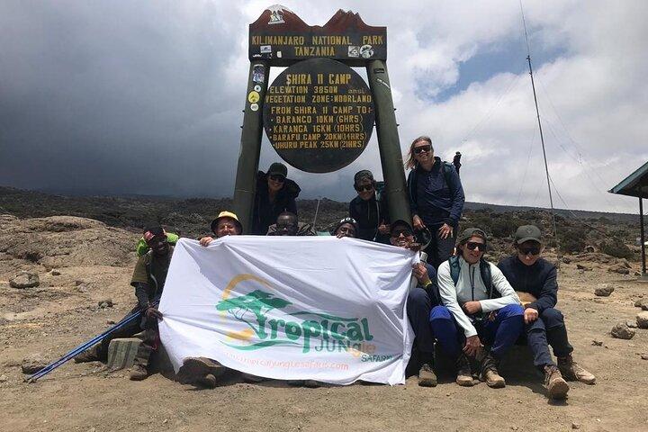 Lemosho Route 8 Days Kilimanjaro Trekking plus 2 Overnights