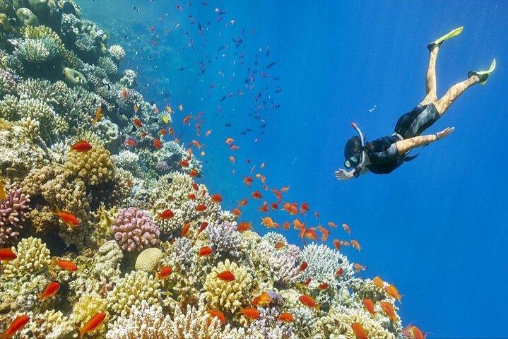 Egypt Private Tour 6 Days Cairo and Hurghada by Flight