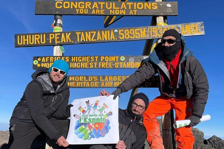 Lemosho Route 8 Days Kilimanjaro Trekking plus 2 Overnights