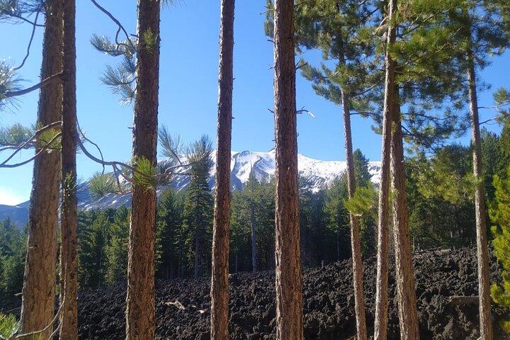 Private tour of Etna with food and wine tasting in the cellar