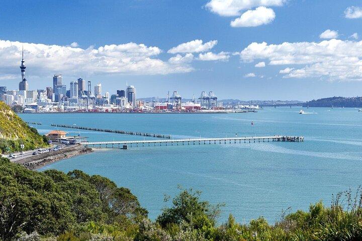 Four Hour Private Auckland Sightseeing Tour
