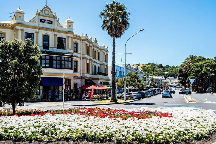 Four Hour Private Auckland Sightseeing Tour
