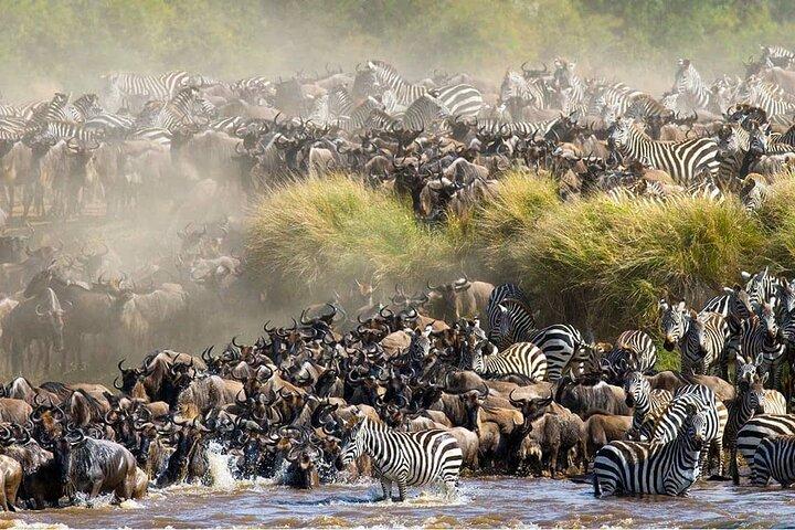 12 Days Kenya and Tanzania Safari With Complimentary First Night
