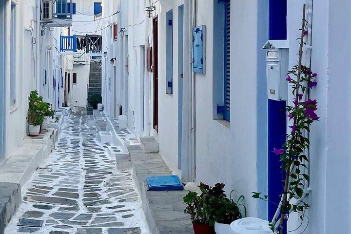 (5h) Santorini Discovery Private Tour–Oia, Villages & Black Beach