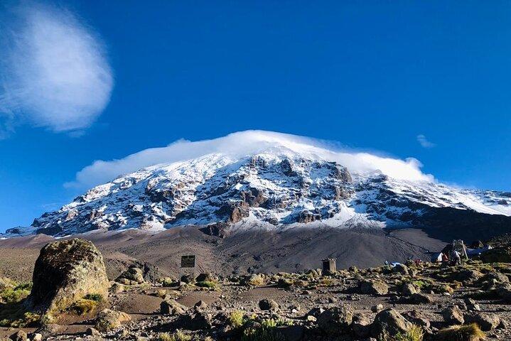 Kilimanjaro 8 days Lemosho Route