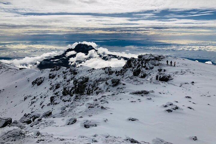 Kilimanjaro 8 days Lemosho Route