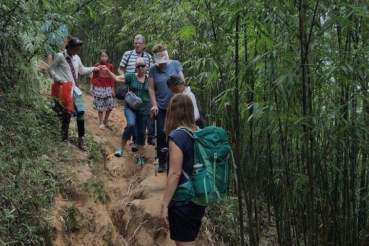 Experience Adventure trek with local guide in Sapa