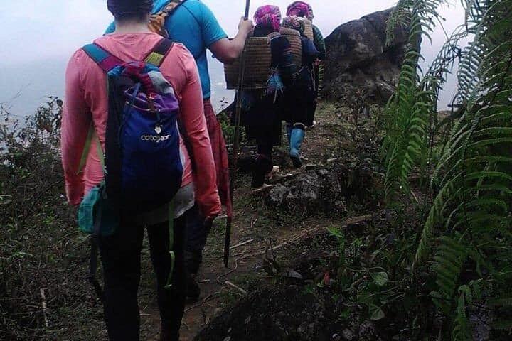 Experience Adventure trek with local guide in Sapa