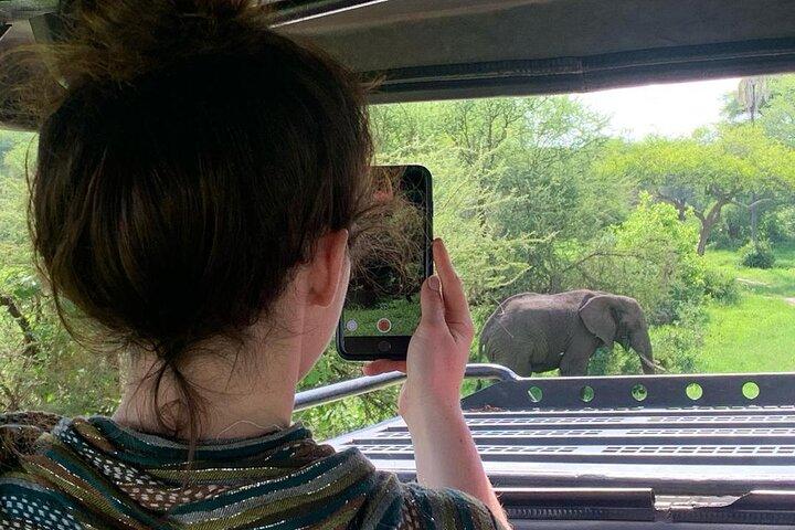 3 Days Private Classic Mid Range Serengeti Safari
