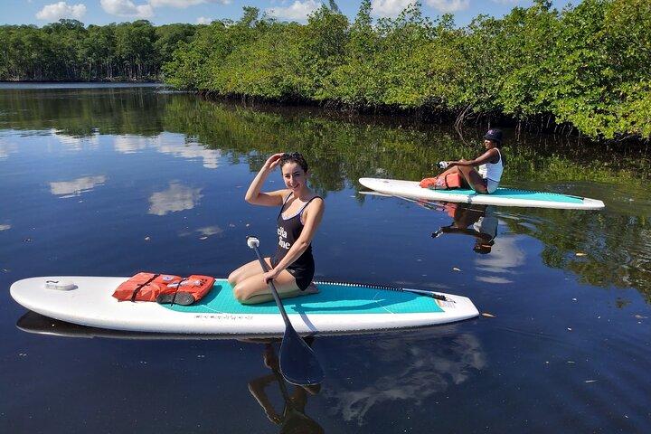 Miami Kayak and Paddleboard Rentals in Virginia Key