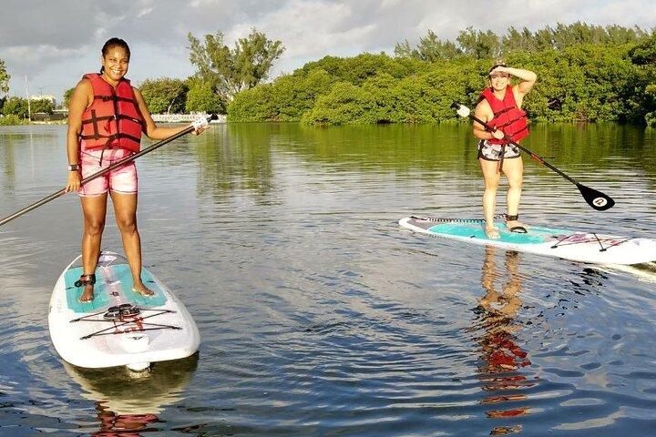 Miami Kayak and Paddleboard Rentals in Virginia Key